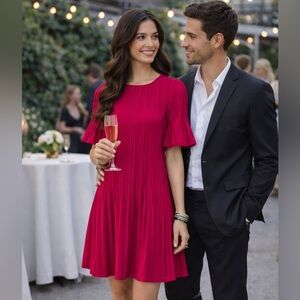 Rachel Zoe Dress Pleated